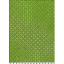 Dekostoff Canvas Anton lime